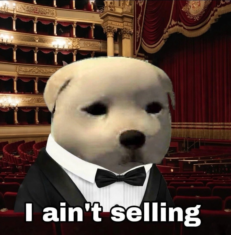 Stinger/https://arc tweet media