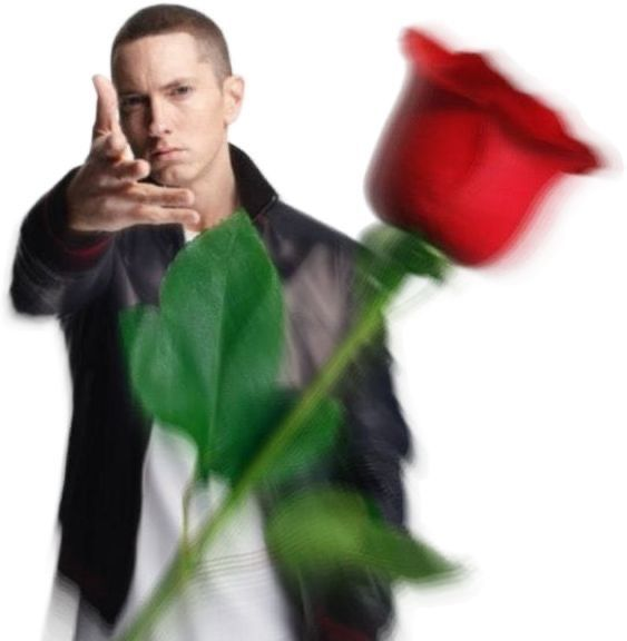 SomeFiSHonthePlanet tweet media