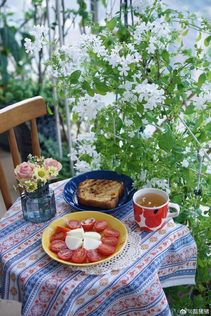 chris saunders tweet media