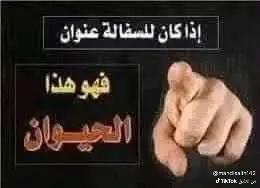 mfy1644690's tweet photo. @alaa_mard900 https://t.co/wM8k88tGBI