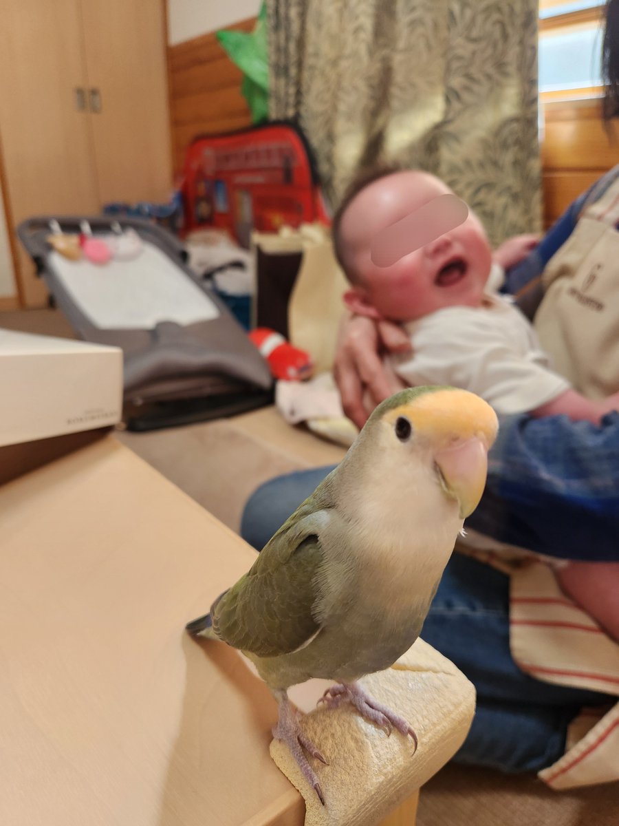 初対面🫶にこにこ