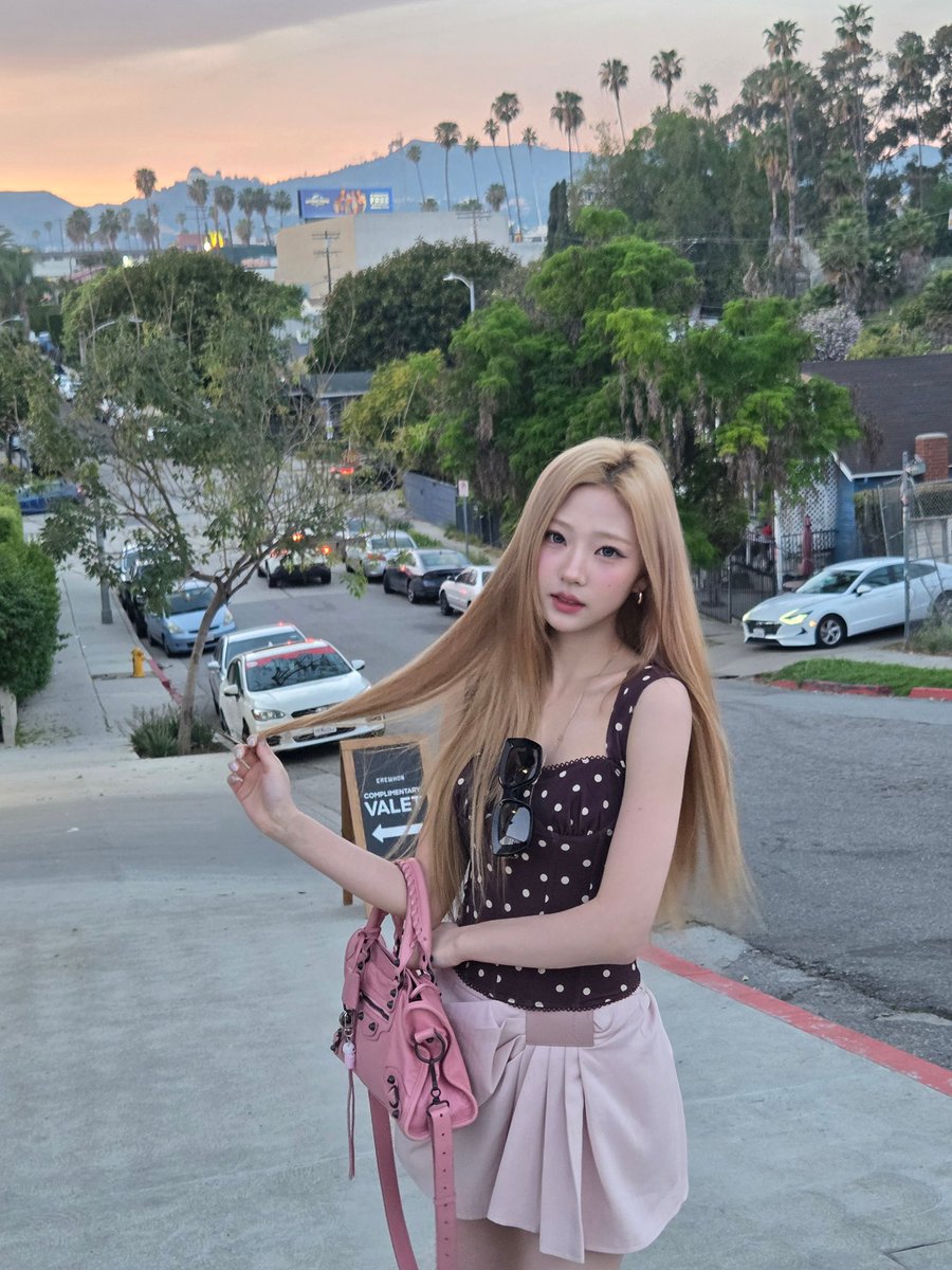 stella pics tweet media