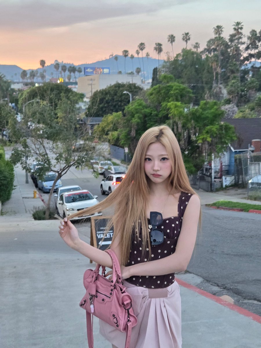 stella pics tweet media