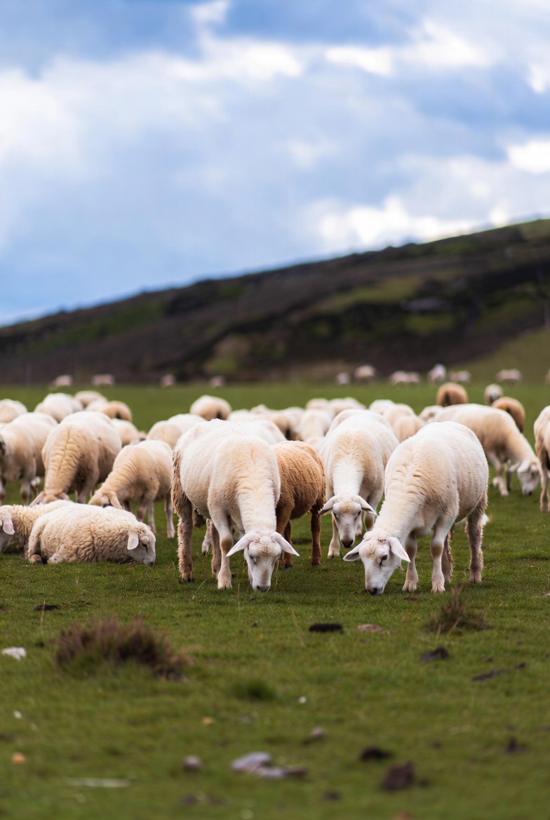 Natural_Intelligence tweet media