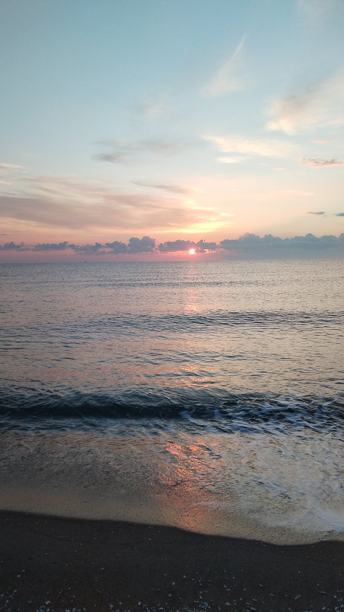 ghirigoro rogighiro  tweet media