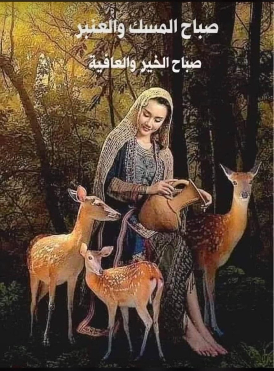 Aeid Alajmi tweet media