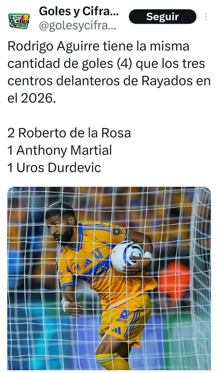 VHugoCastilloL 🐯 tweet media