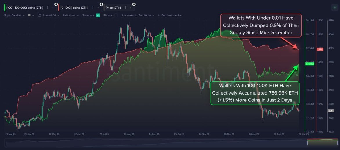 CryptoBusy tweet media