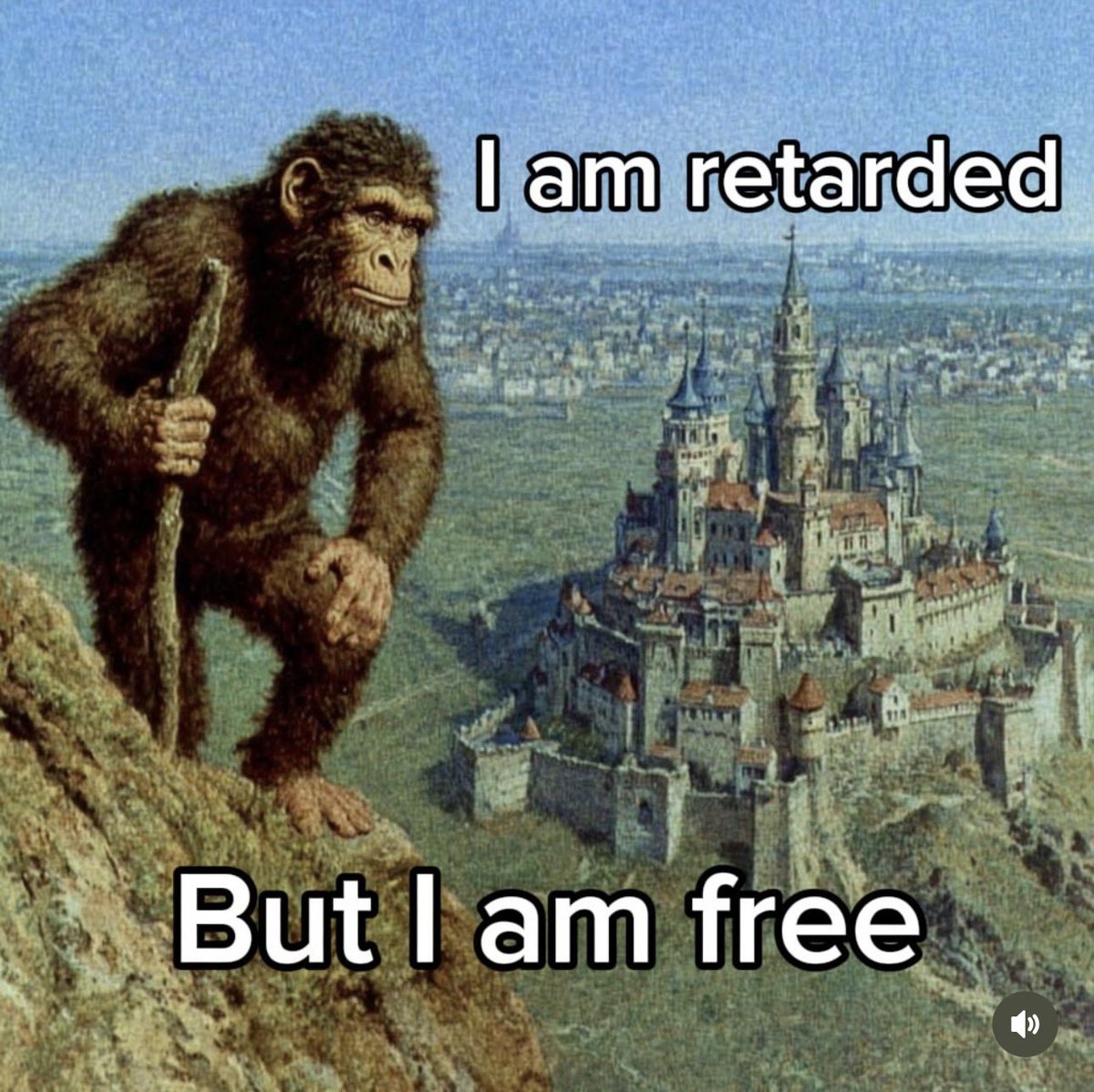 Tylenol Painrelief tweet media