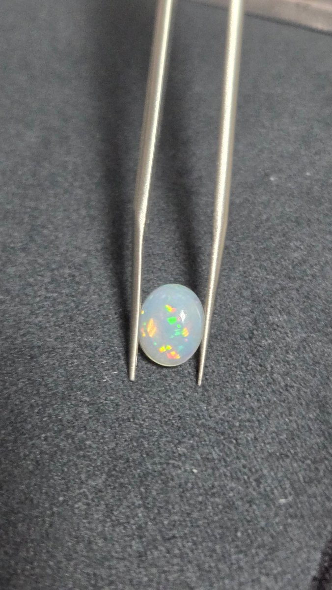 파챙이 tweet media