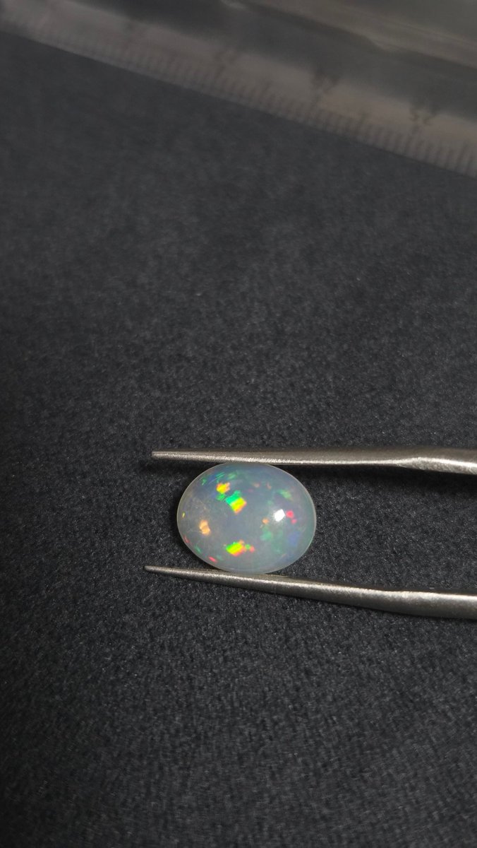 파챙이 tweet media