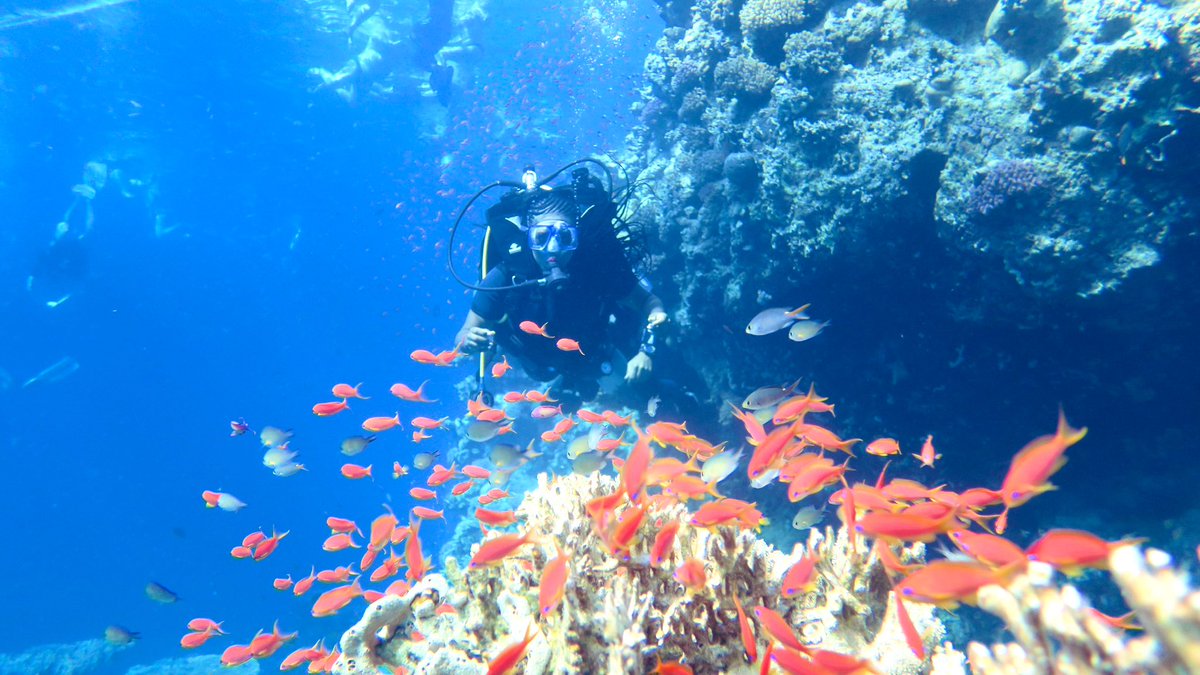 MUKIGA TRAVELLER✈️ tweet media