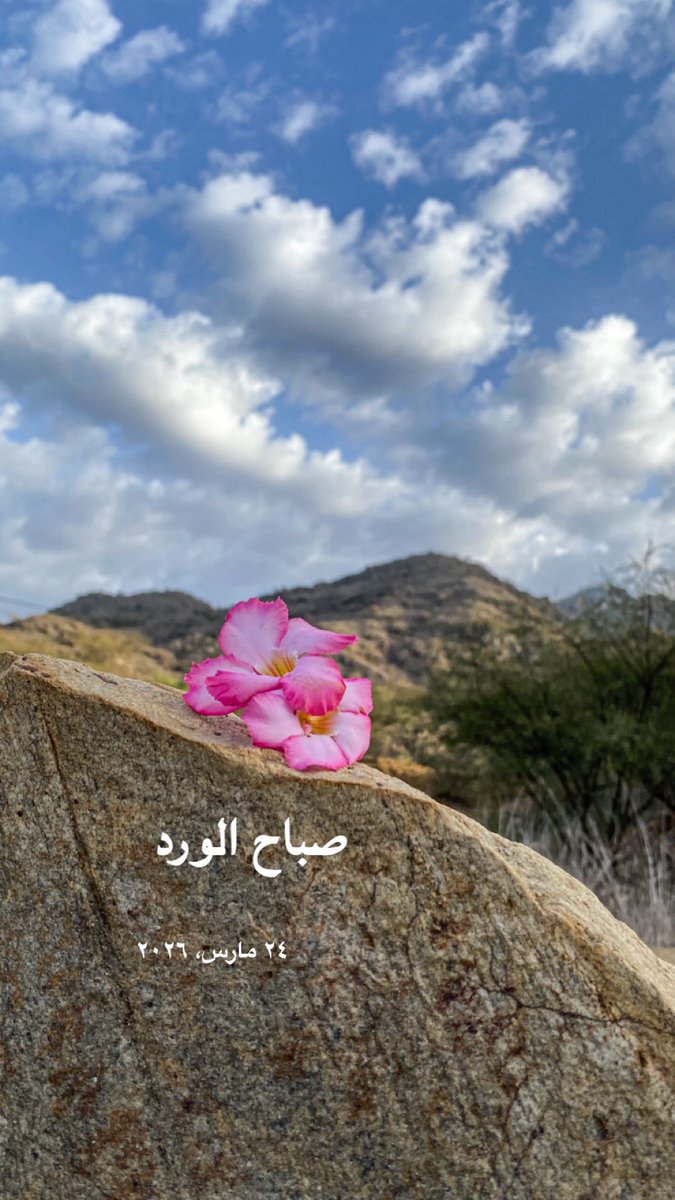 بنت الجنوب tweet media