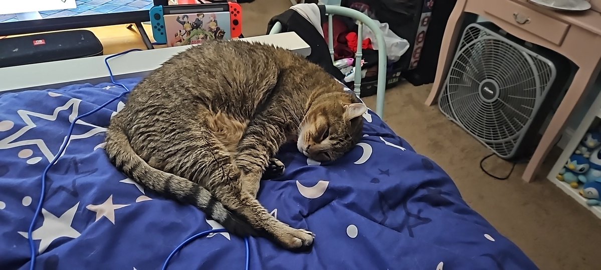 Inigo Fire Emblem's ONE Earring 🔞 tweet media