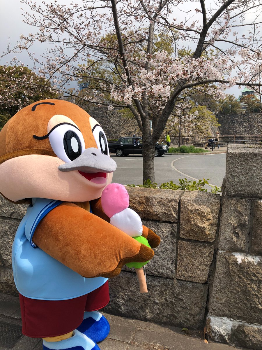 もずやん@大阪府広報担当副知事 tweet media