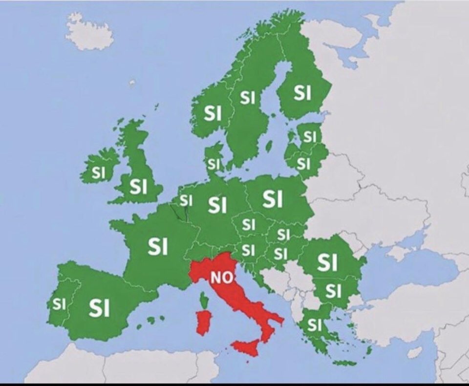 Rocco2️⃣8️⃣💙🏆 tweet media