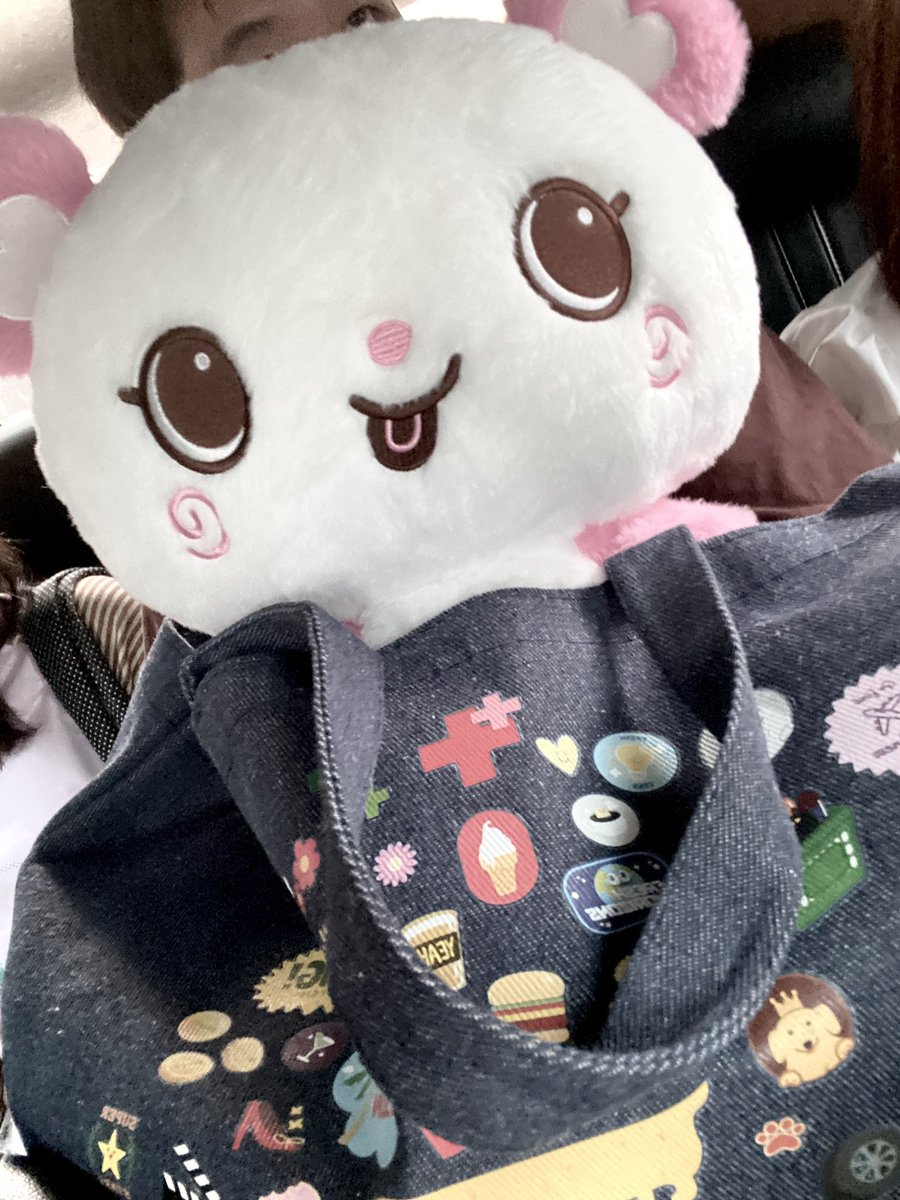 🎀. ݁𖦹 さくさく‎໒꒱ ‧₊ tweet media