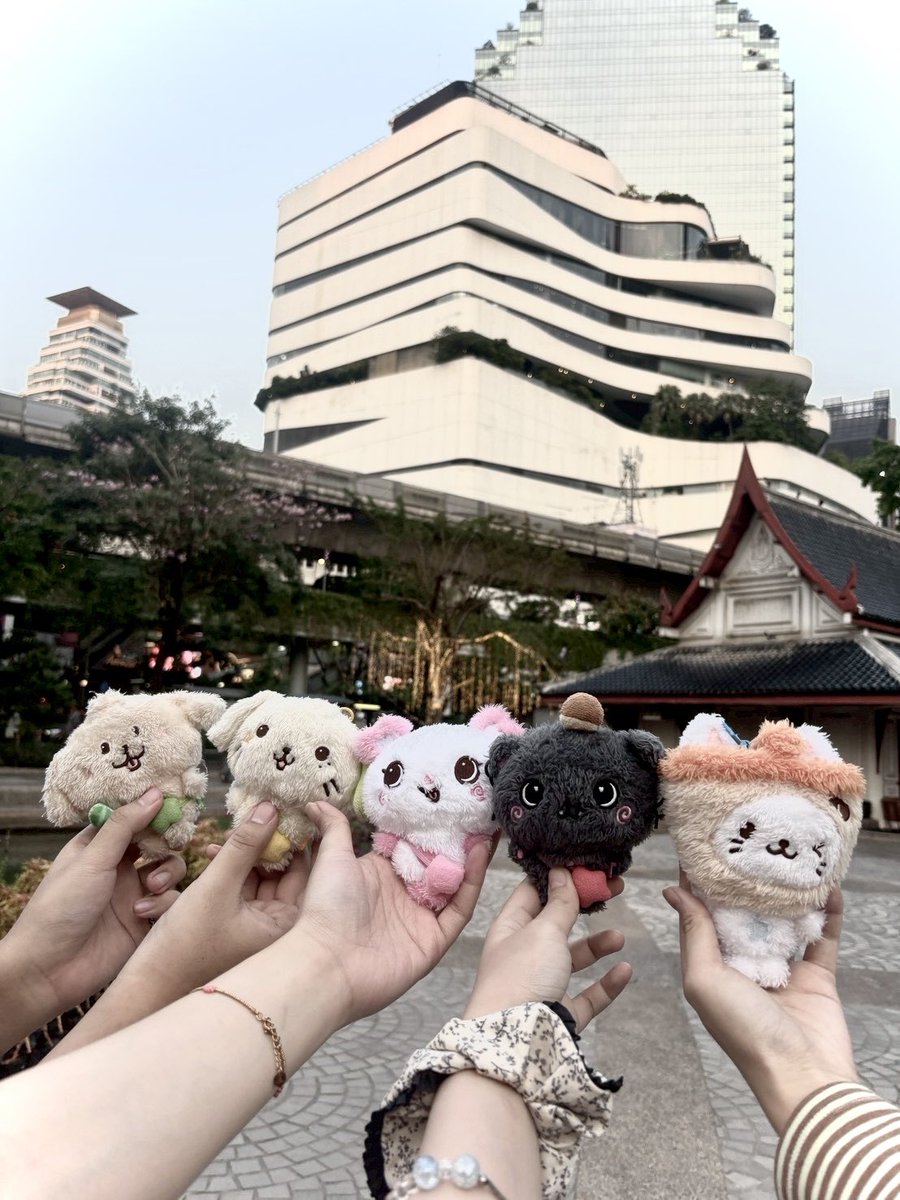 🎀. ݁𖦹 さくさく‎໒꒱ ‧₊ tweet media