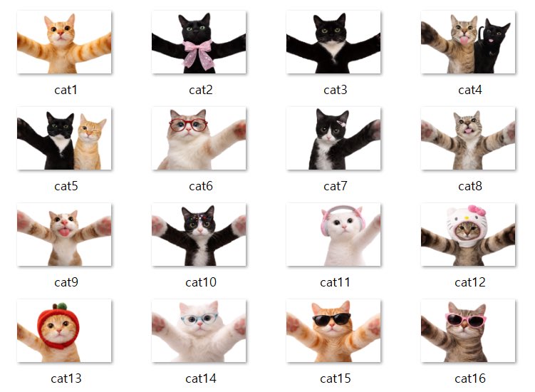 초록말 tweet media