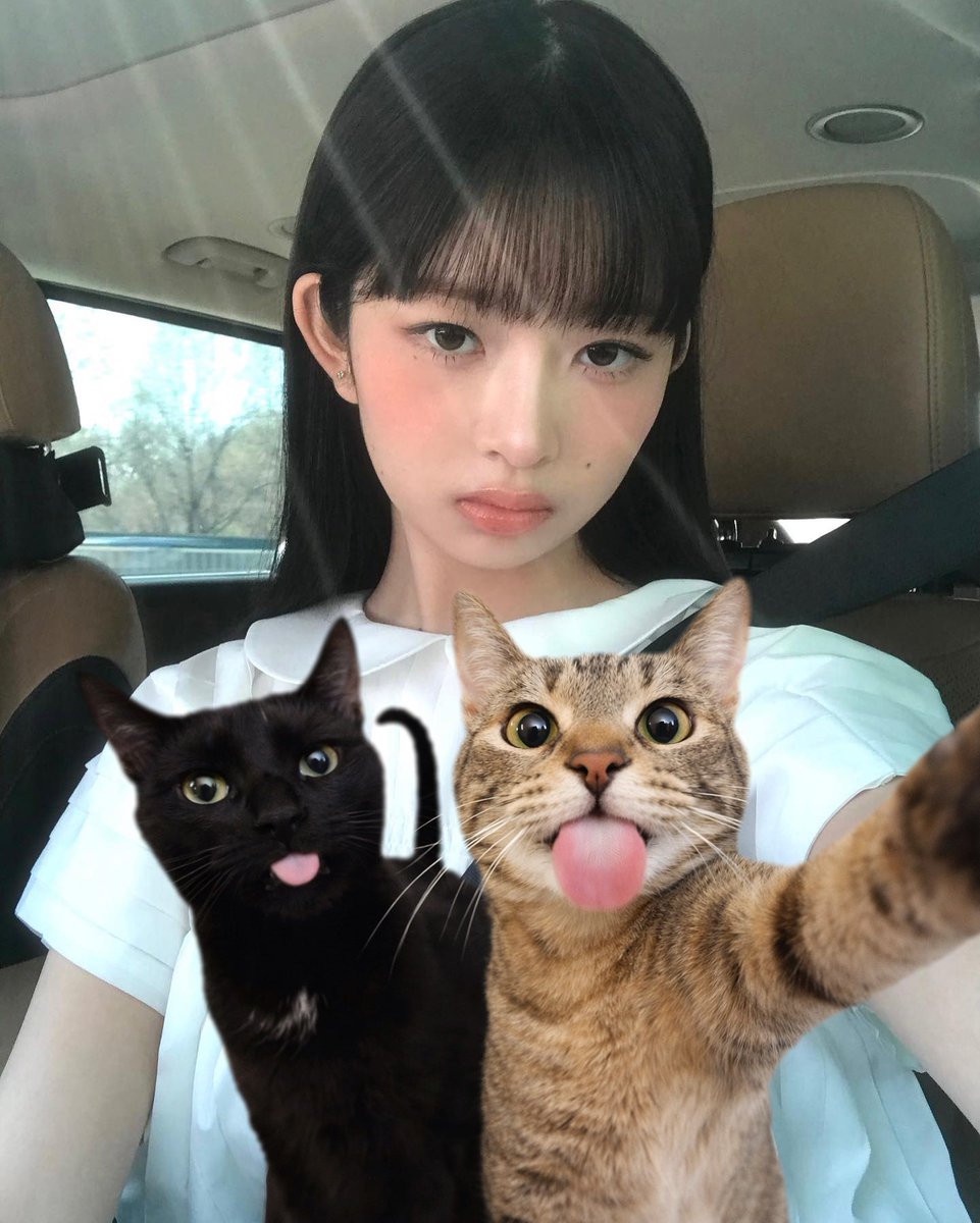 초록말 tweet media