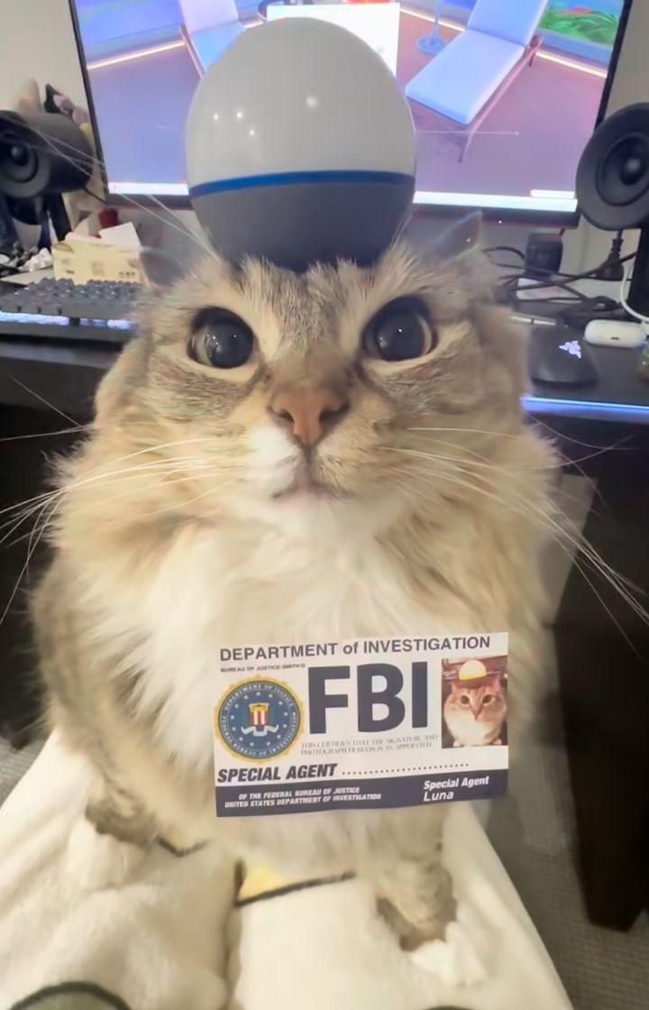 vx-underground tweet media