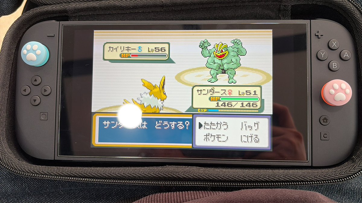 아카메 코네 🃏 新人Tcg Vtuber tweet media