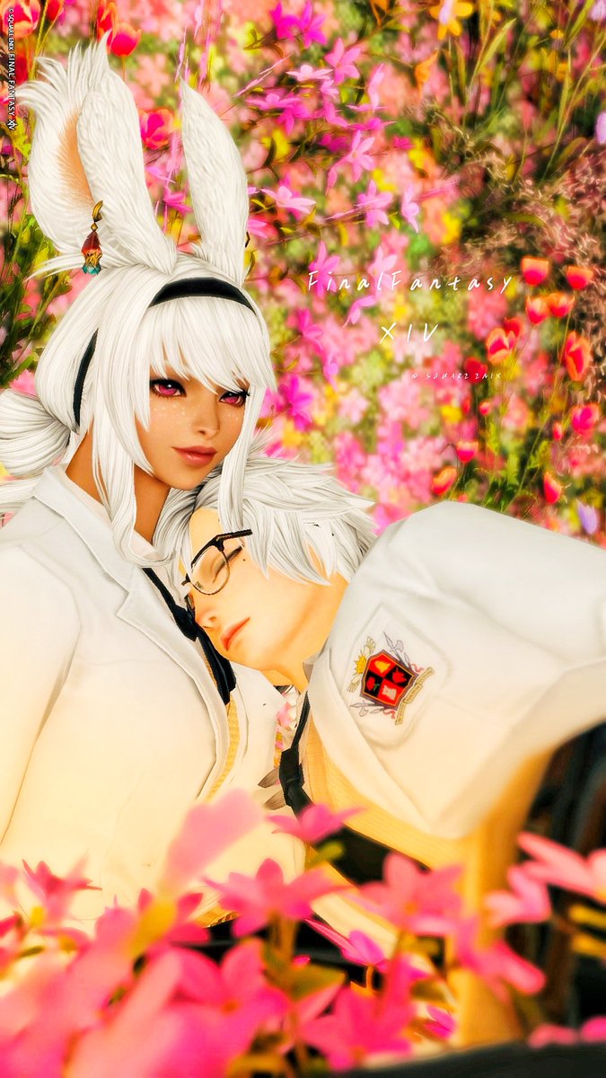 ぴぴまる tweet media