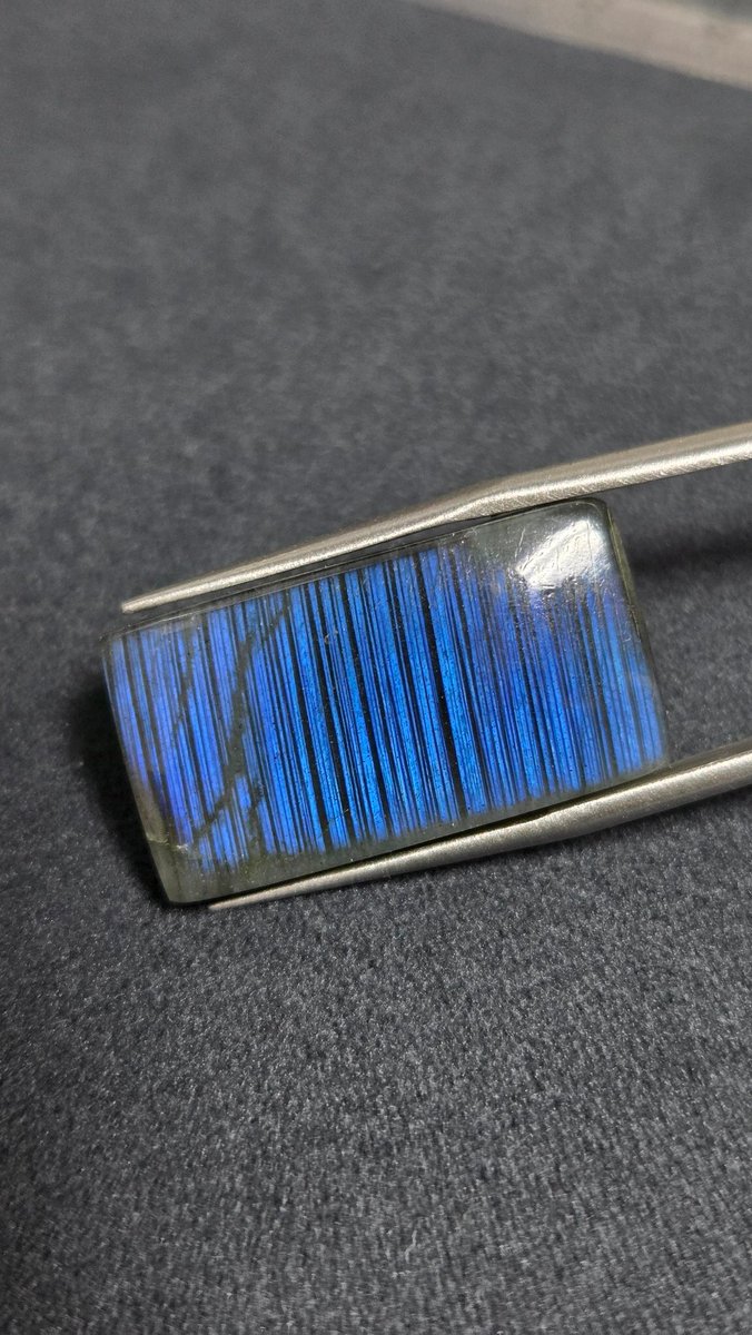 파챙이 tweet media