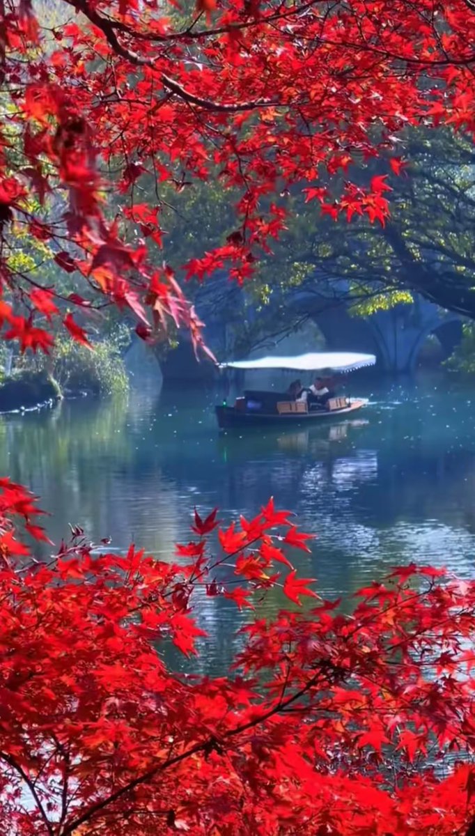 Jaroslav Juricka tweet media