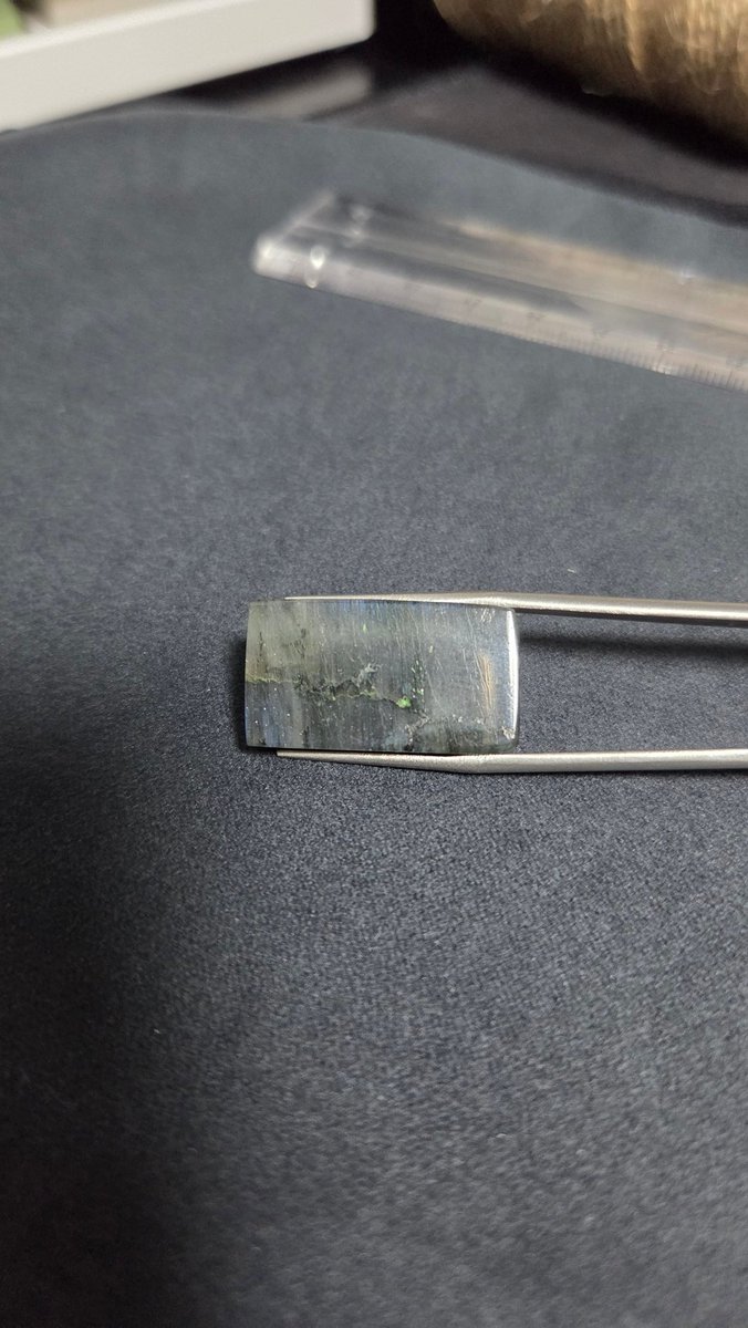 파챙이 tweet media