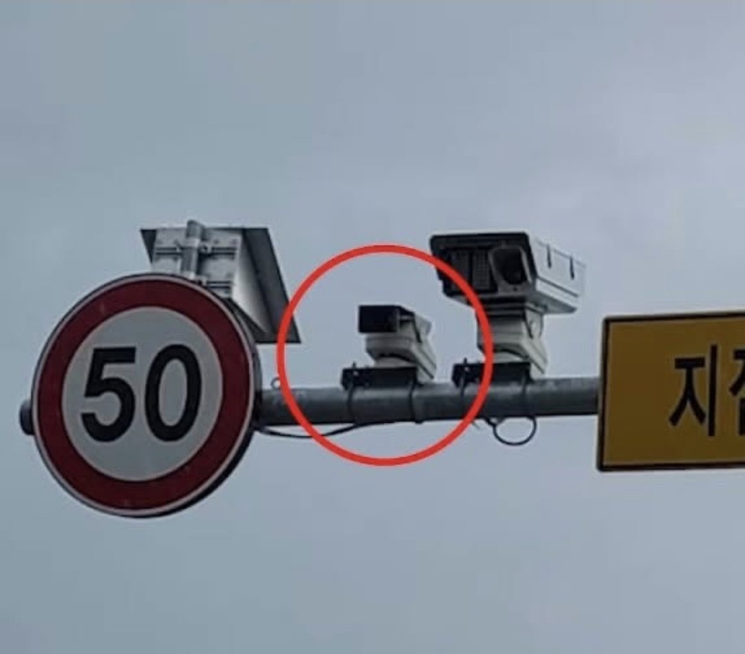 결명자 tweet media