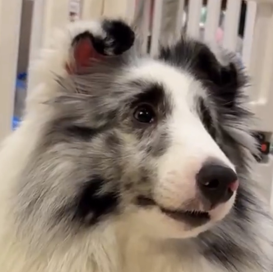 แก้วตาดวงใจของปะป๊าง่ะ ㅠ ㅠ🤲🏻🤲🏻