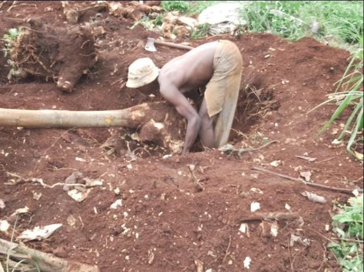 Scribe Dev🏹✍🏻 tweet media