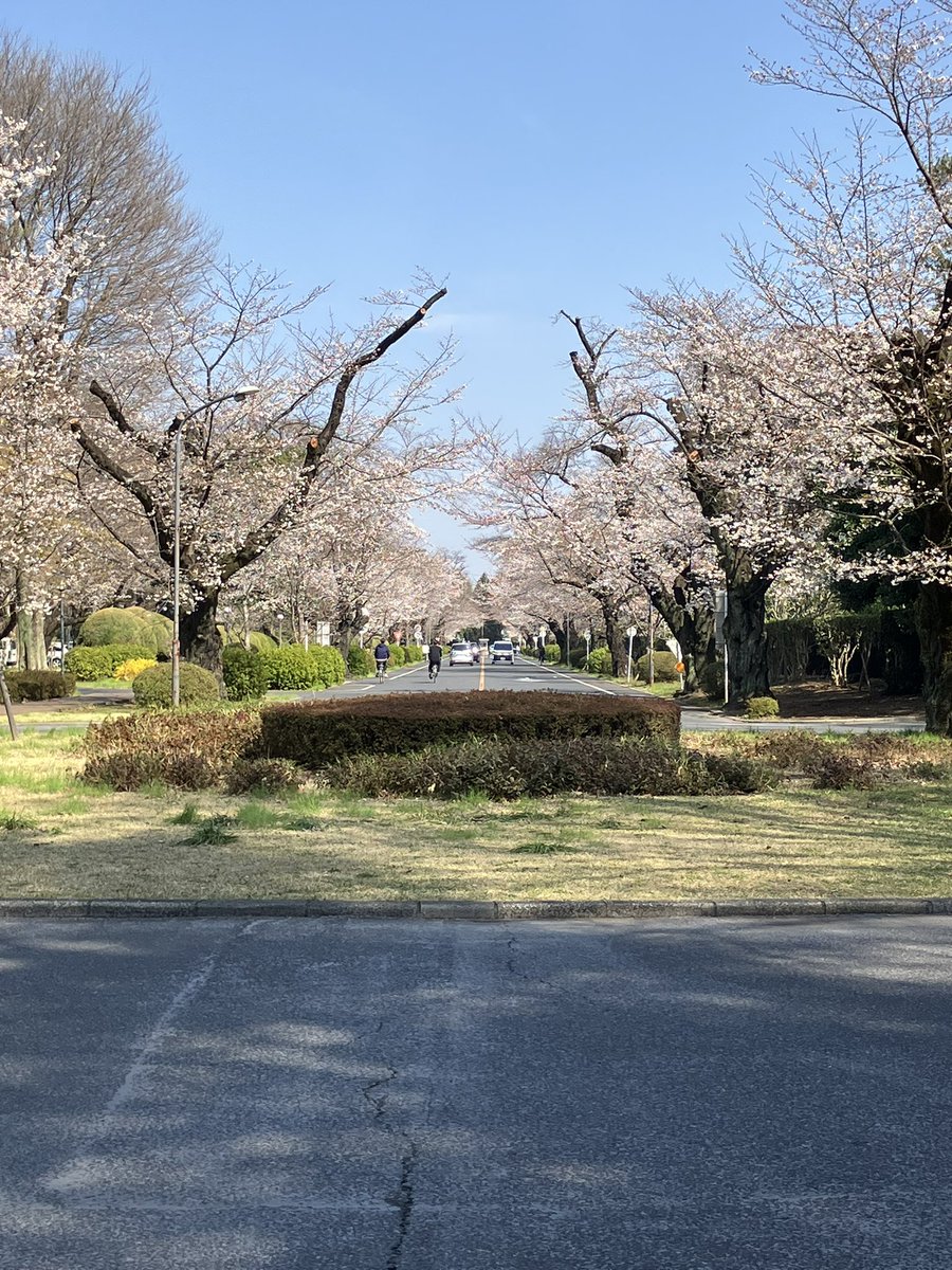 すこんぶ tweet media