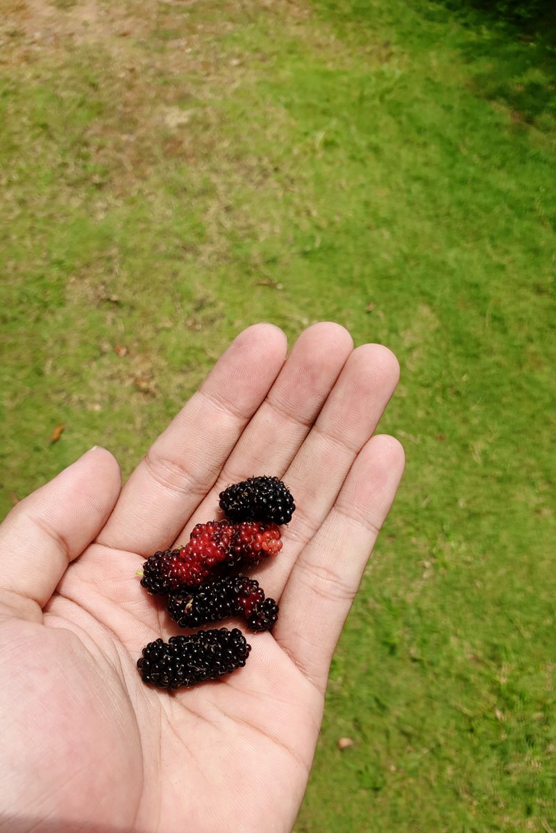 Shinji⛅️ tweet media