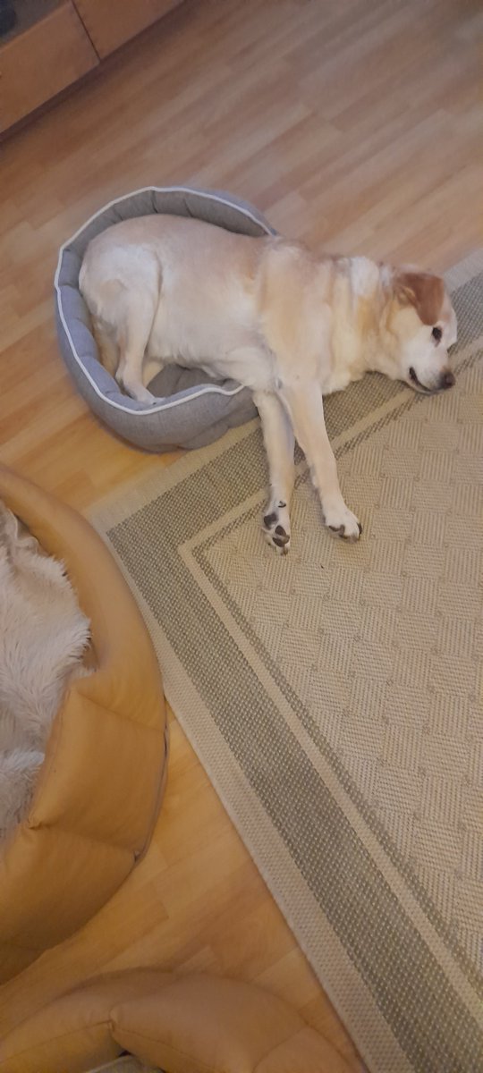 Sandra Prowald tweet media