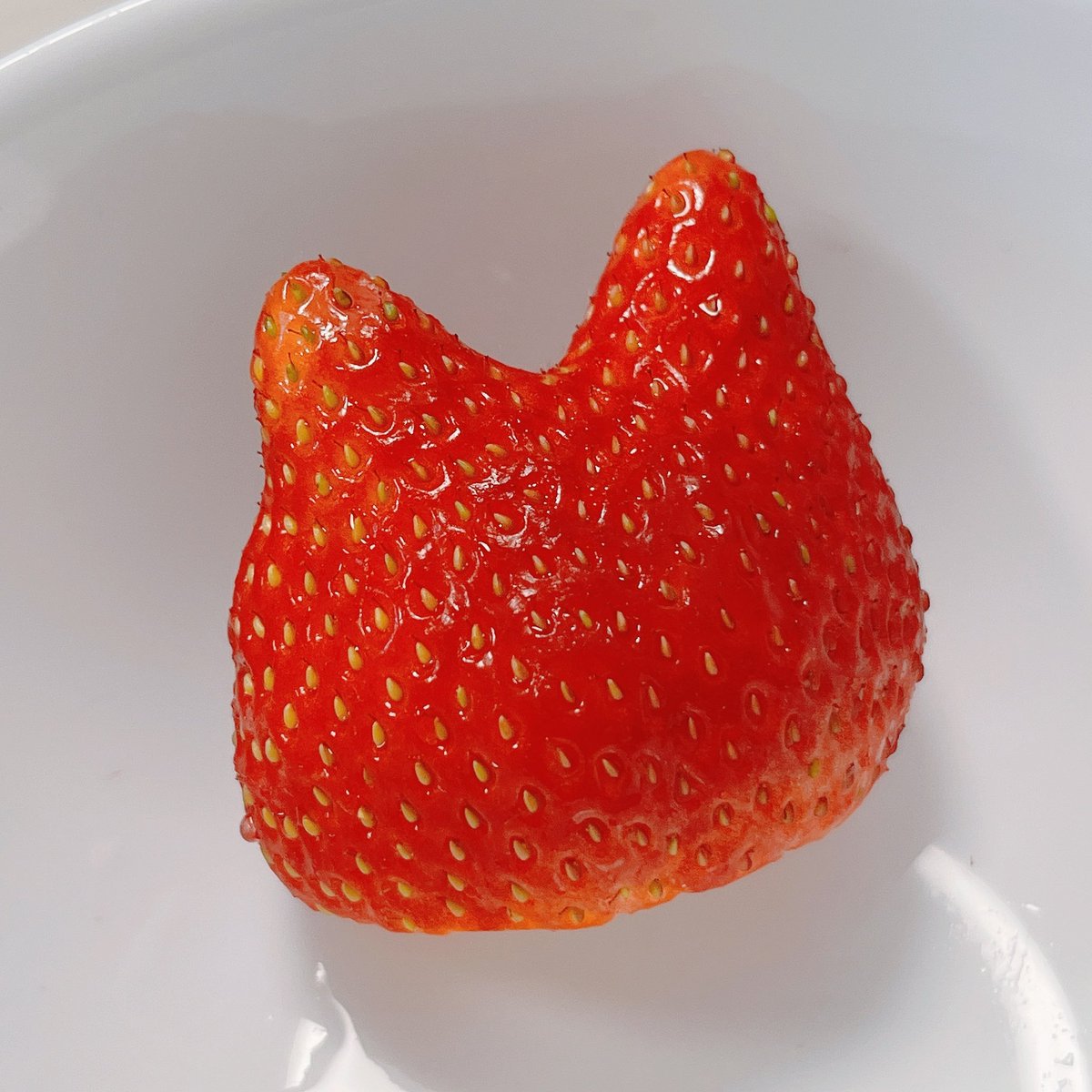 春奈るな （はるなるな） tweet media