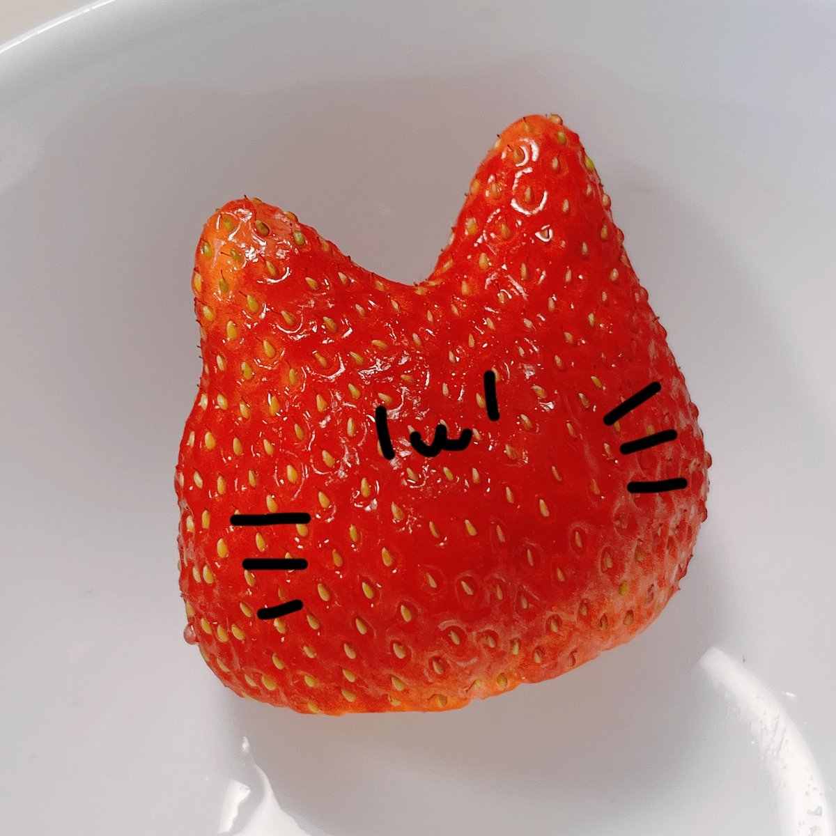 春奈るな （はるなるな） tweet media