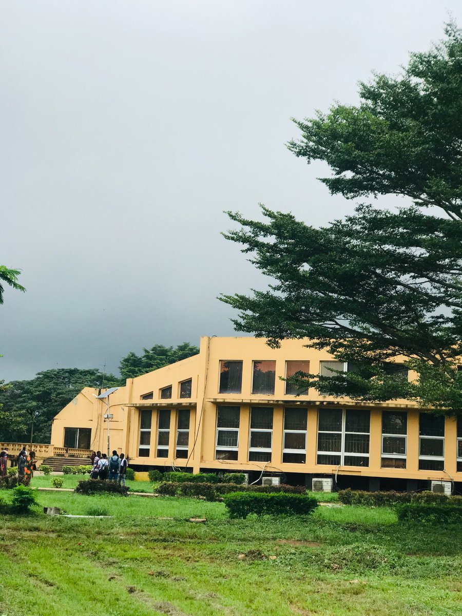 ICΞ ₿AG ☃️ tweet media