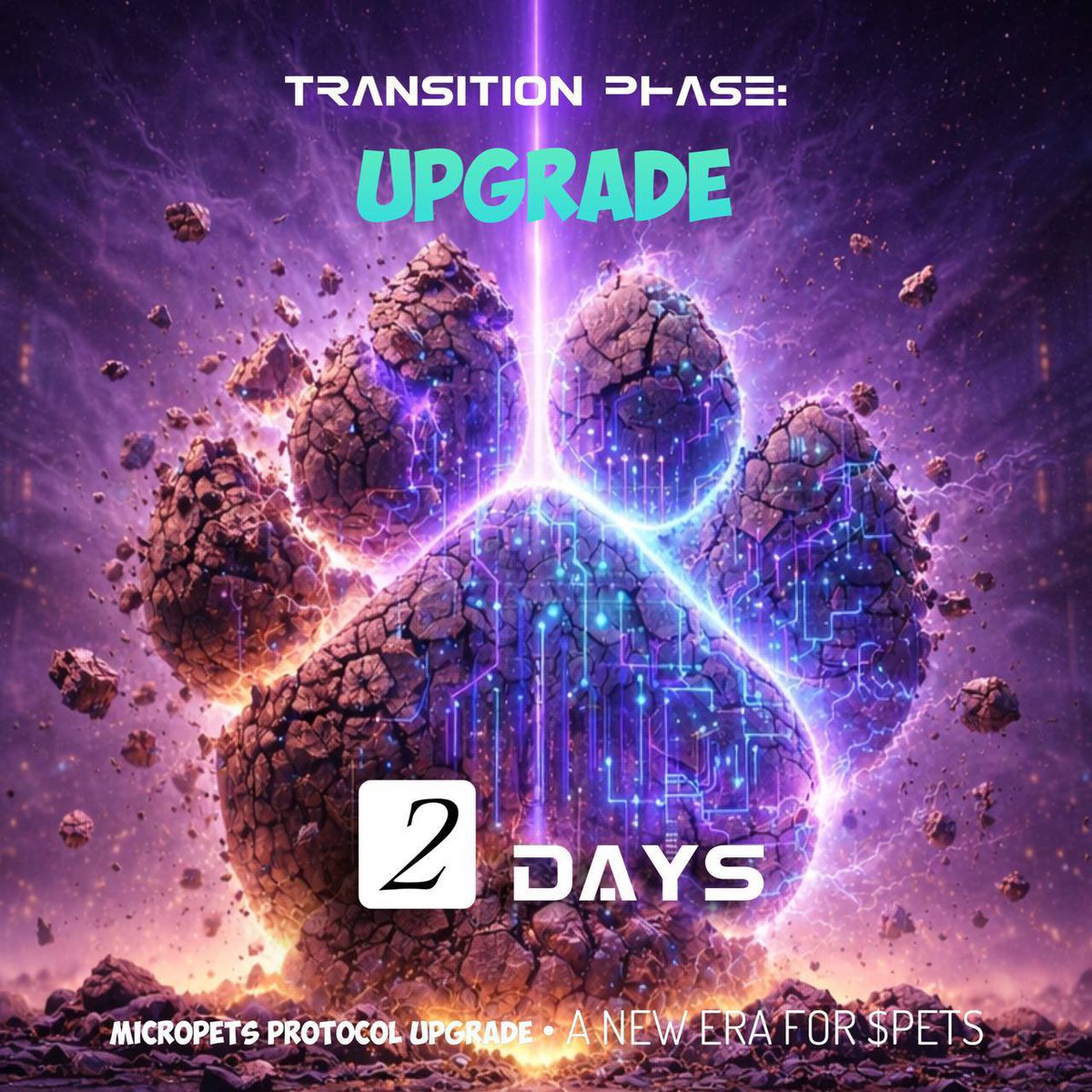 RamasPets tweet media