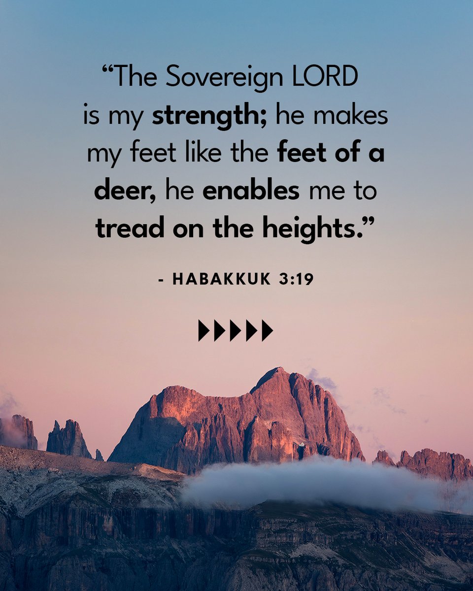 Leading The Way tweet media