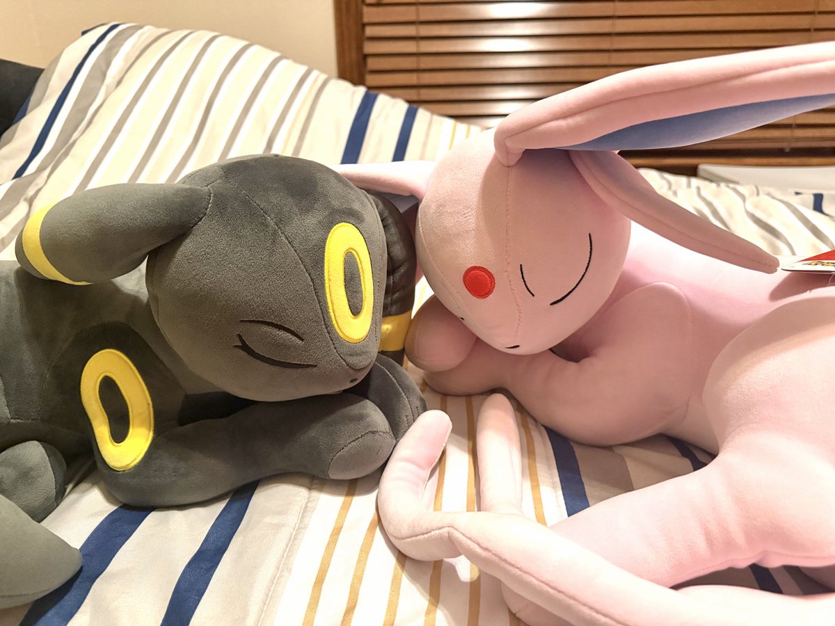 シンダリッテン tweet media