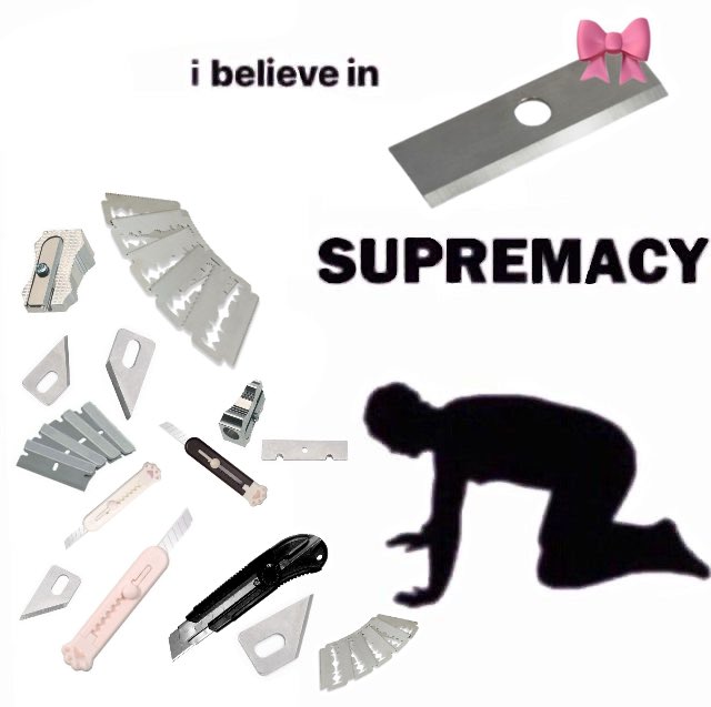 🍁 Cove/Regina George of shtwt 🍁 tweet media