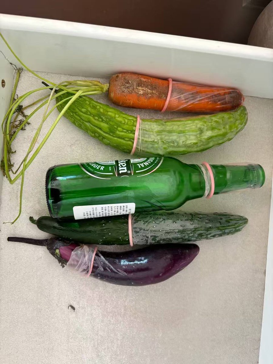 律政雪儿 tweet media