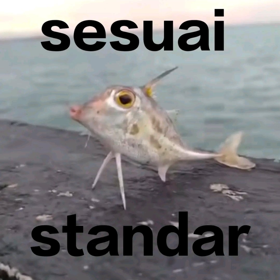 ʷᵉⁿⁿⁿ •`°*‹𝟹 tweet media