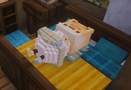 symmie !! ꩜ ༘⋆ | COMS 📌 tweet media