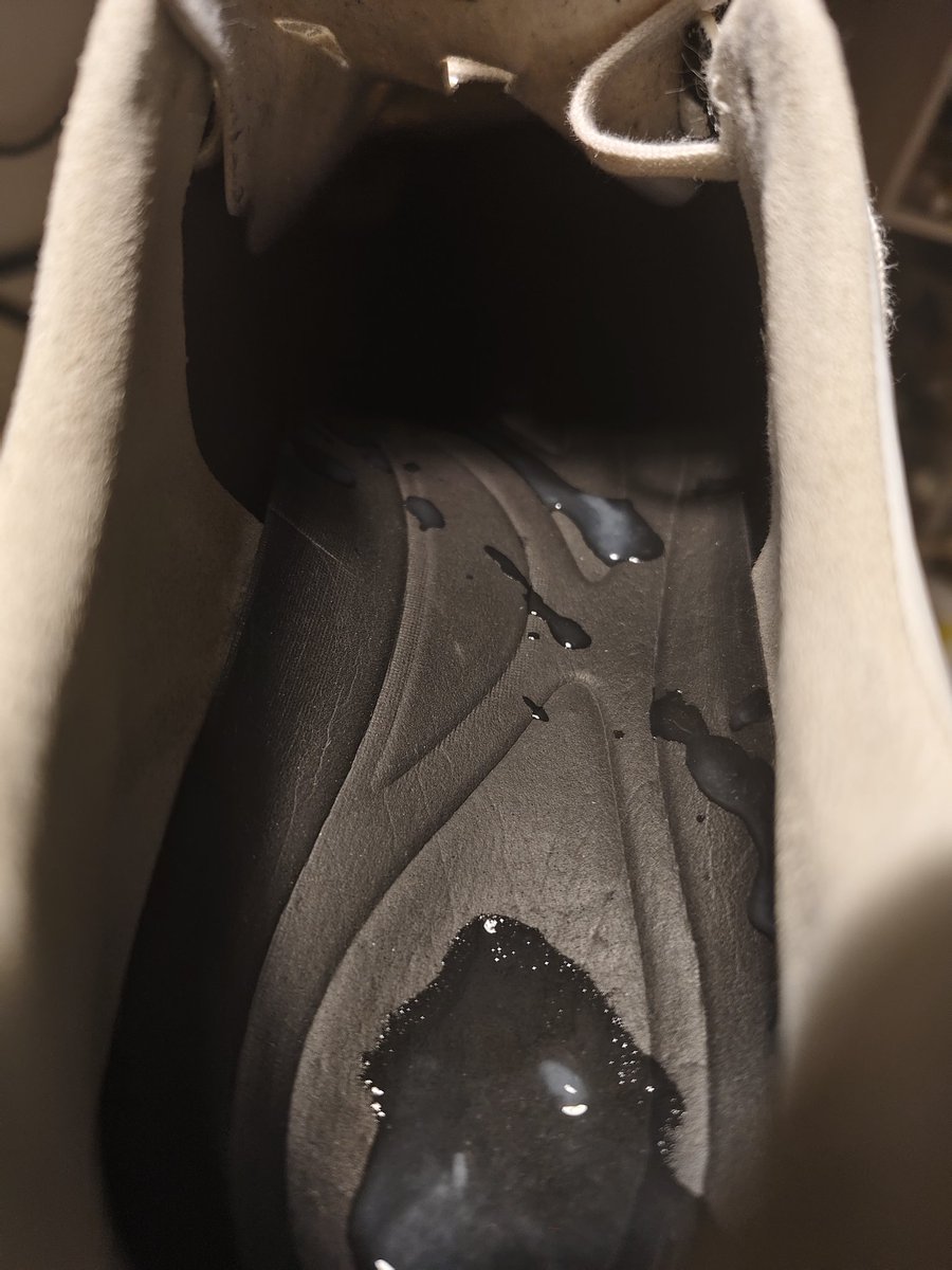 虎豹。梵杰 tweet media