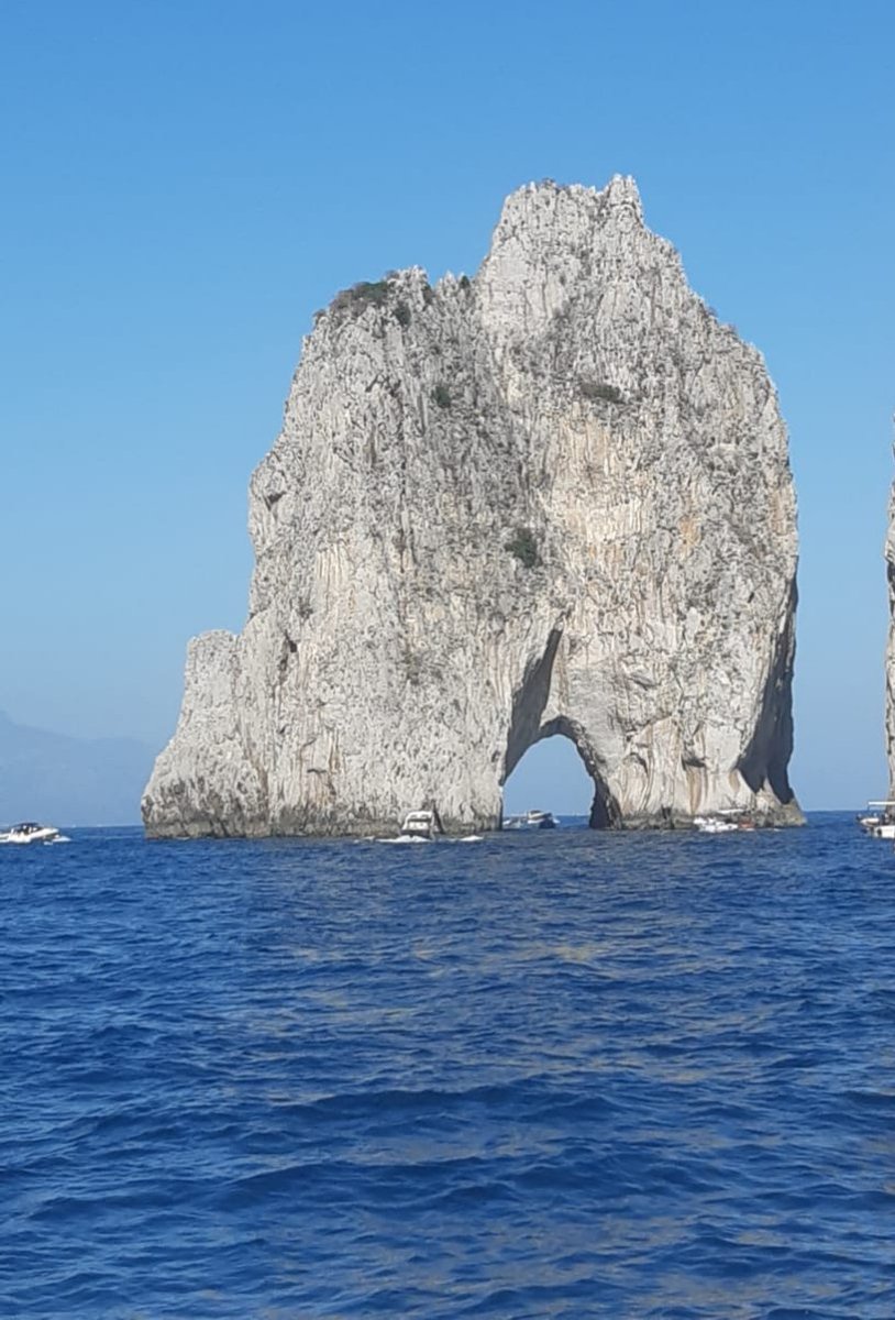 P a t r i c i a D u v a l tweet media