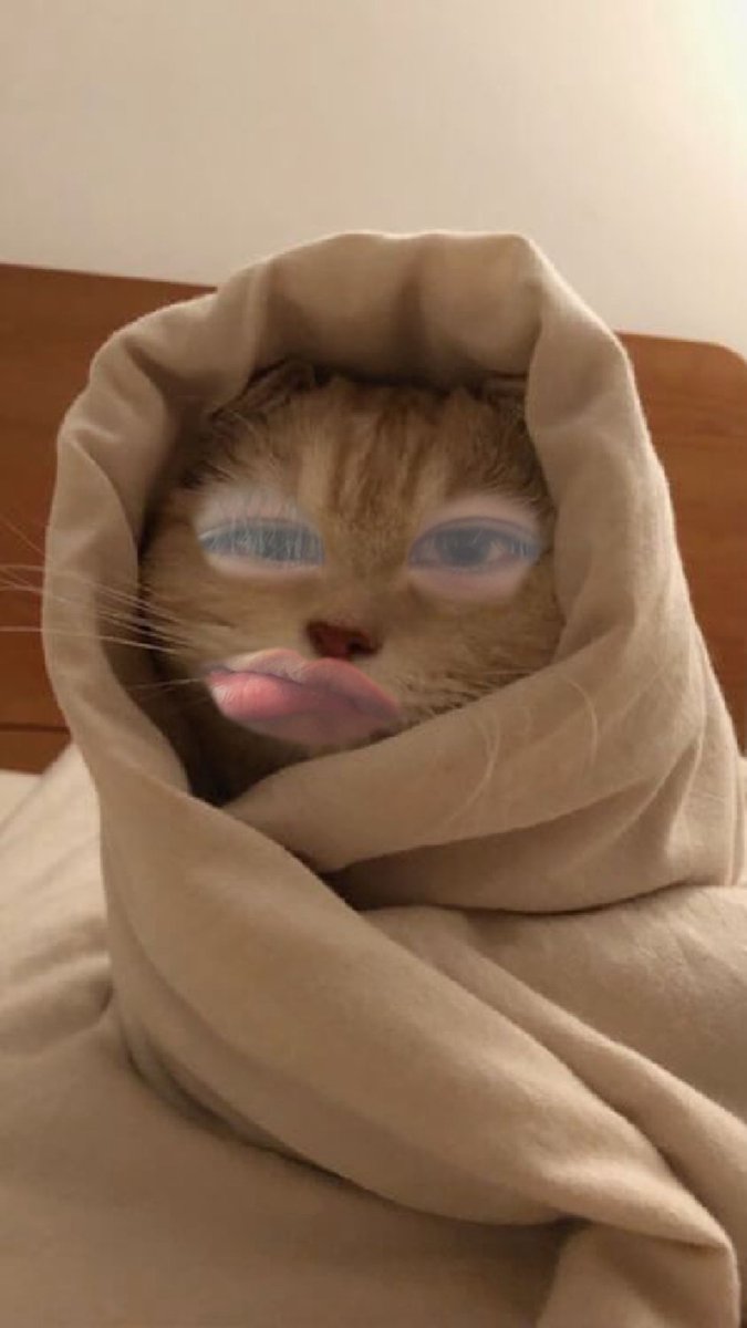 りょうちゃんﾎﾟﾝｺﾋﾟﾝ🍻 tweet media