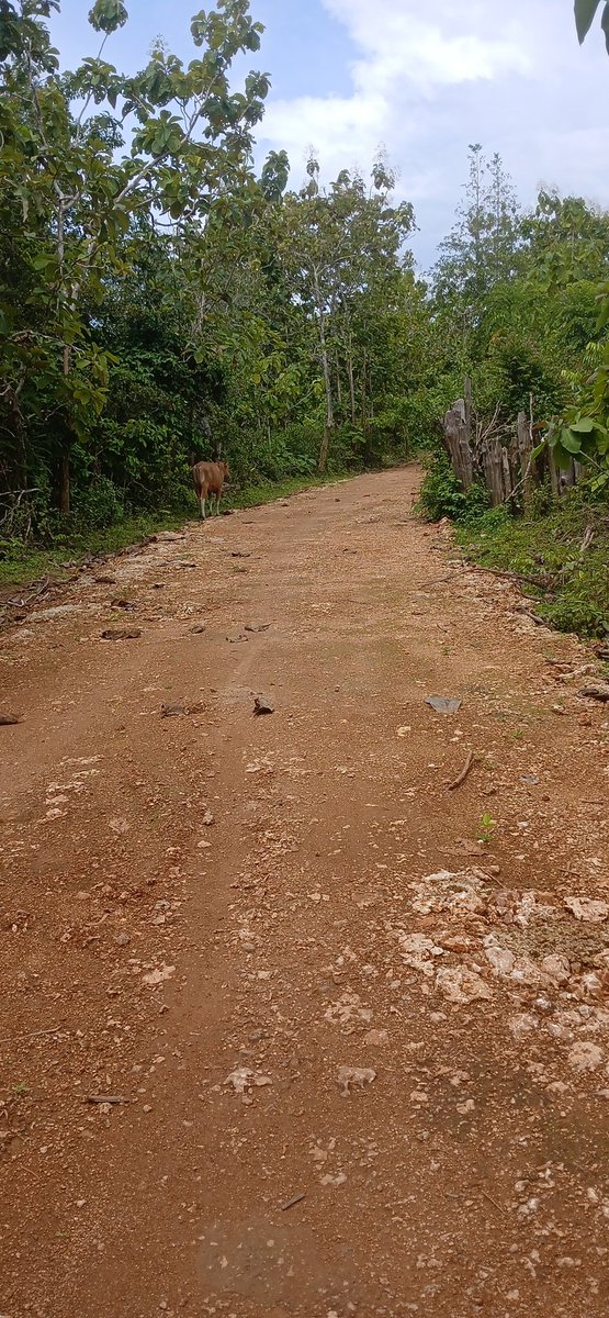 yayayaya tweet media